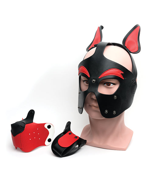 665 Playful Pup Hood.