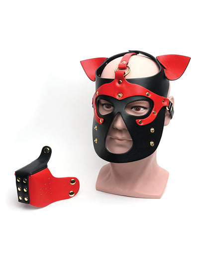 665 Bondage Pup Hood