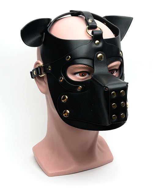 665 Bondage Pup Hood