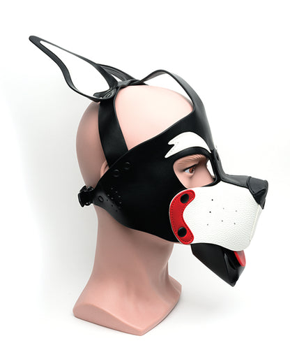 665 Playful Pup Hood.