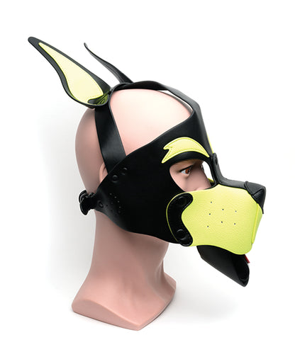 665 Playful Pup Hood.