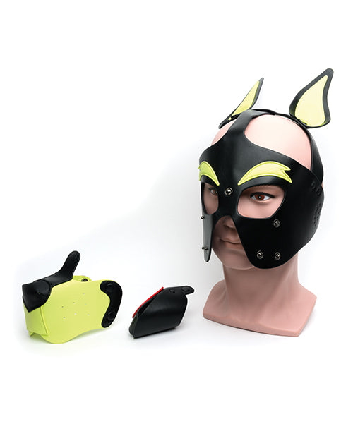 665 Playful Pup Hood.