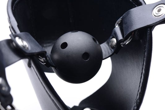 Pup Puppy Play Hood and Breathable Ball Gag