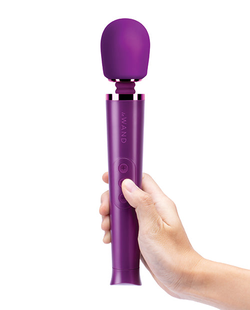 Le Wand Petite Rechargeable Portable Massager - Blue